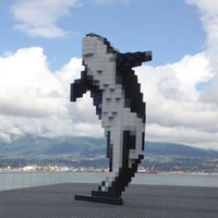 Digital Orca, a.k.a. Pixel Whale