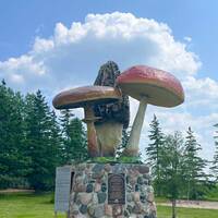 Three Big Mushrooms