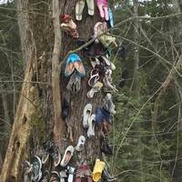 Baba's Shoe Tree