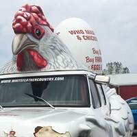 Chicken Truck