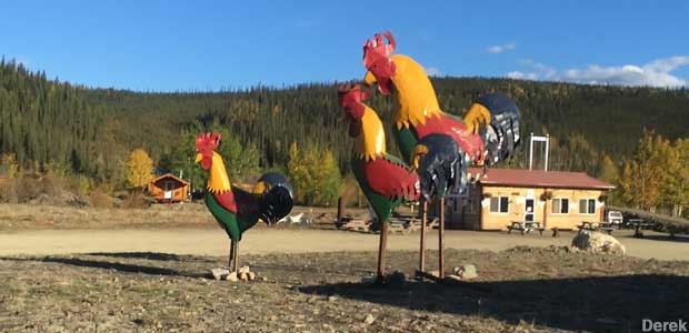 Three large, multicolored ,metal roosters stand in a yard.