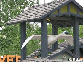 Sculpture of swan in flight suspended beneath a rooftop awning.