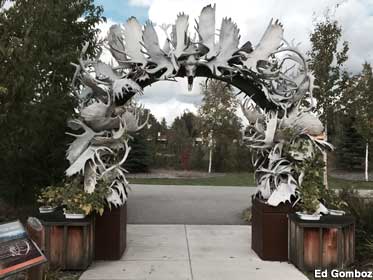Outdoor arch festooned with white moose antlers.