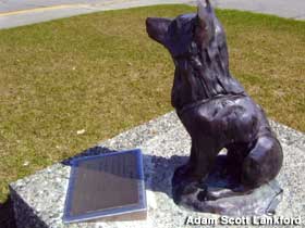 Bronze statue of a sled dog sitting attentively behind a bronze plaque on its granite base.