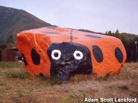 Large boulder painted to resemble a ladybug.