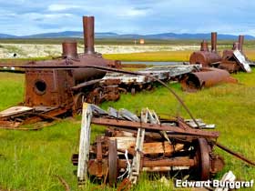 Rusty locomotives sit abandoned in an outdoor field.
