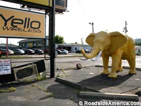 Statue of an elephant painted yellow next to a sign for Yello Wireless.