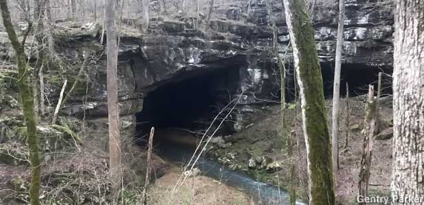 Large entrance to Russell Cave is in a rock wall in the woods, with a stream coming out of it.