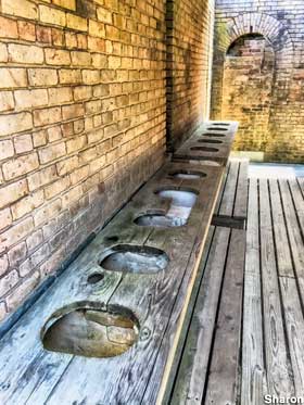 A row of outdoor toilet holes cut in a long, weathered wooden plank, hung from a brick wall.