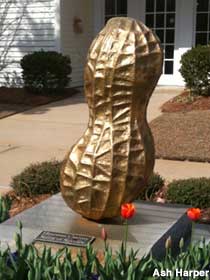Large outdoor upright fiberglass peanut painted gold.