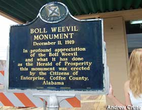 Boll Weevil Monument plaque.