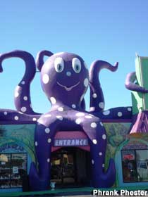 Giant Octopus.