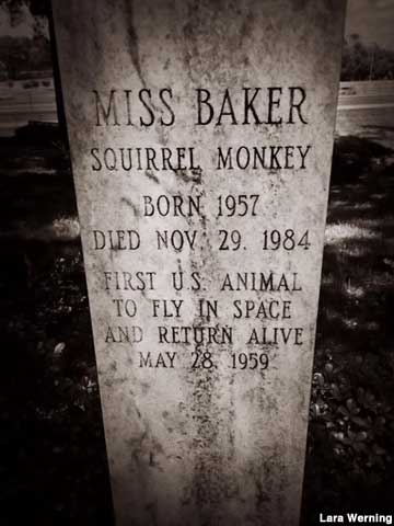 Miss Baker grave.