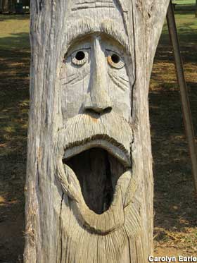 Tree face.