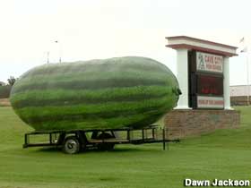 Giant watermelon.