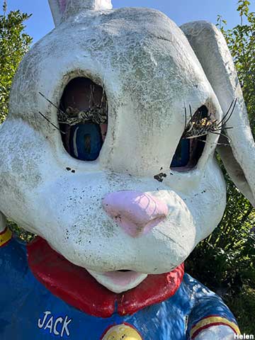 Large Goofy Bunny Rabbit, 2023.