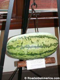 Another record watermelon.