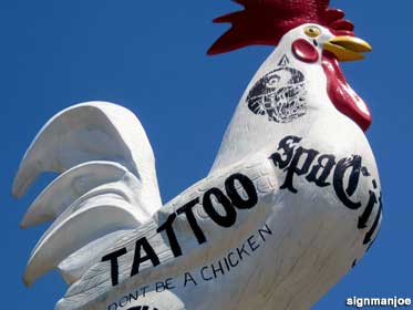 Tattoo rooster.