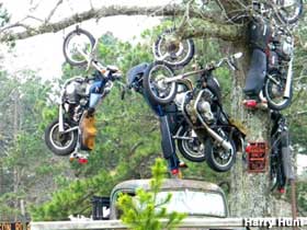 Motorcycle hanging tree.