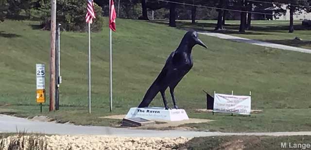 Raven statue.