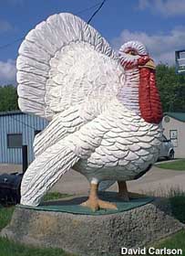 Turkey statue.