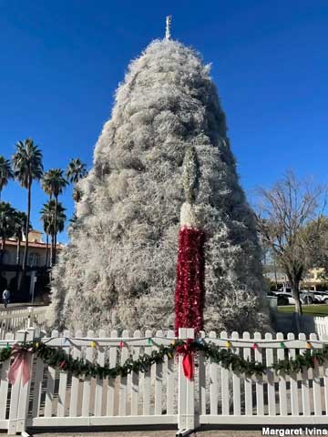 Tumbleweed Christmas Tree.