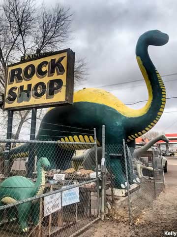 Rock Shop dinosaurs.