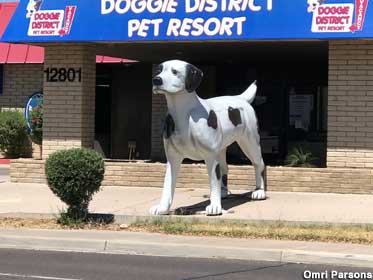 Big dog statue.