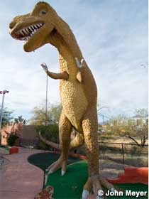 Dinosaur on the Mini Golf