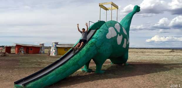 Dinosaur slide.