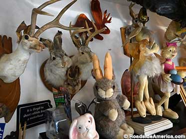 Mounted Jackalopes in the Chamber of Hop Horrors.