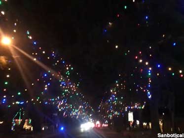 Christmas Tree Lane.