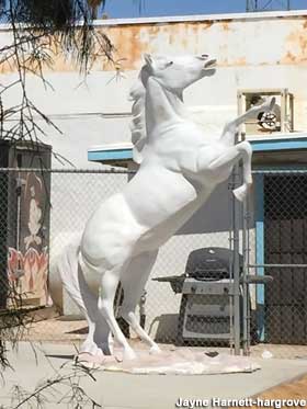 Rearing white horse.