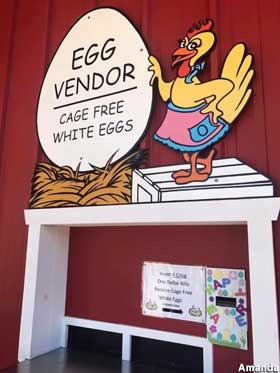 Egg Vendor.