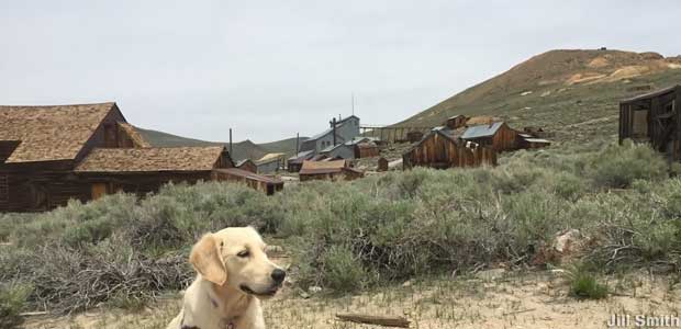 Bodie ghost town.