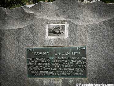 Tawny the MGM lion and his tomcat pal are buried together.