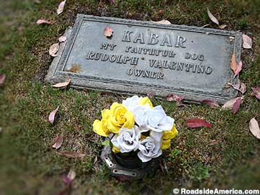Rudolph Valentino's faithful dog died of a broken heart.