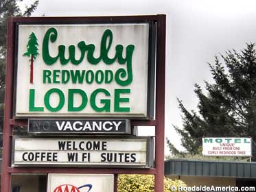 Curly Redwood Lodge.