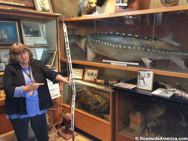 Largest Sturgeon Caught in San Pablo Bay, the fishing rod, and the giant wasp nest.