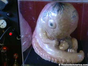 Ceramic fetus in the mad doctor's lab.
