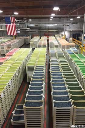 Jelly Belly factory floor.