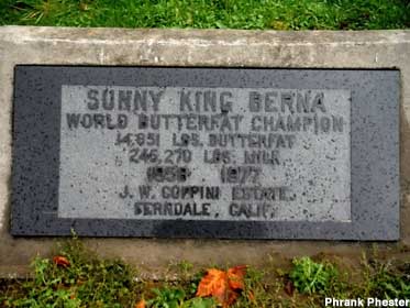 Sunny King Berna's grave.