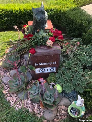 Toto memorial at Hollywood Forever cemetery.