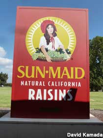 Sun Maid Raisins box.