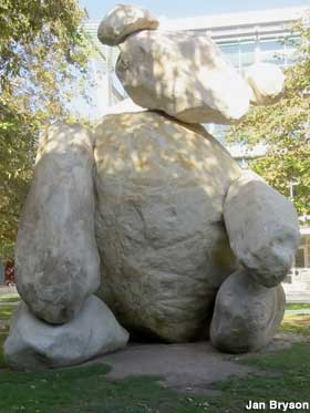 Teddy Bear of Boulders.