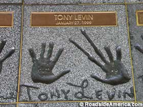 Tony Levin stick fingers.
