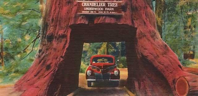 Chandelier Drive-Thru Tree.