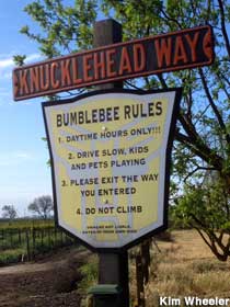 Bumblebee Rules.