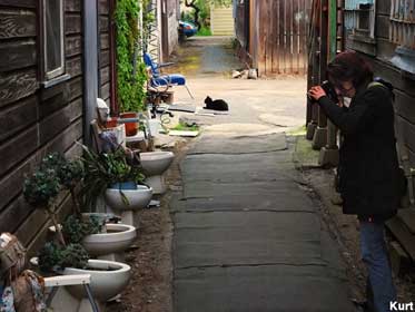 Alley toilet planters.