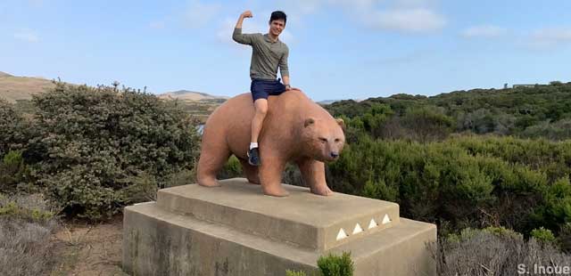 Bear statue.